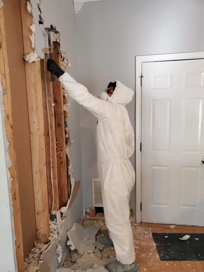 Water Damage Restoration services in Asbury, IA